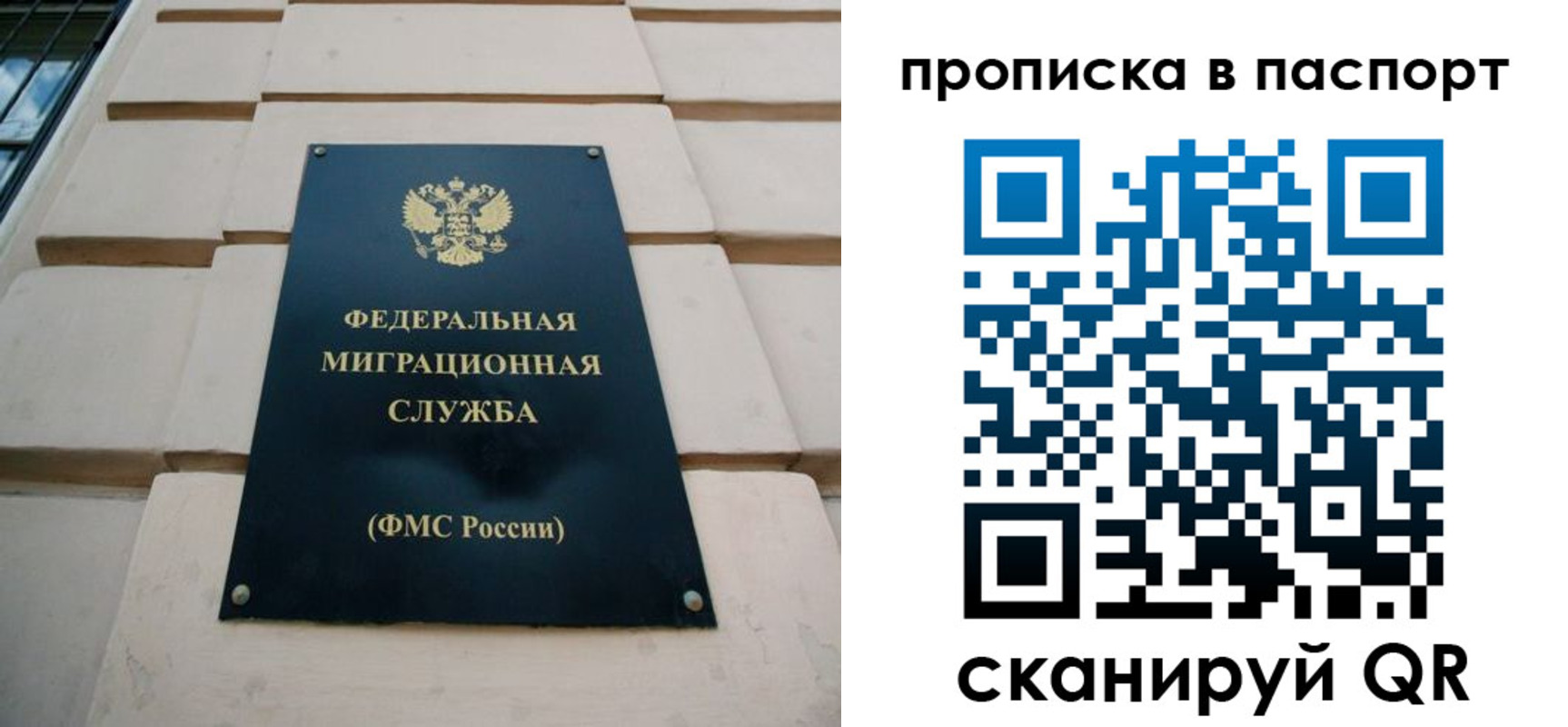 прописка для работы в Видном